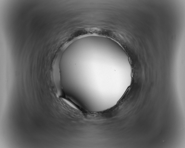 X0000086281345200704122040