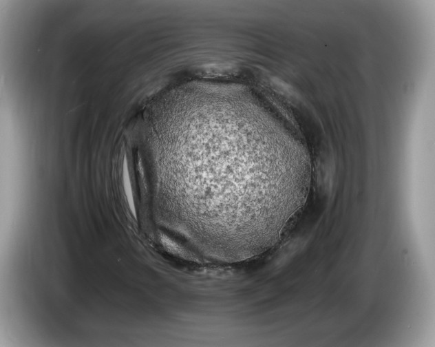 X0000086281346200704122040