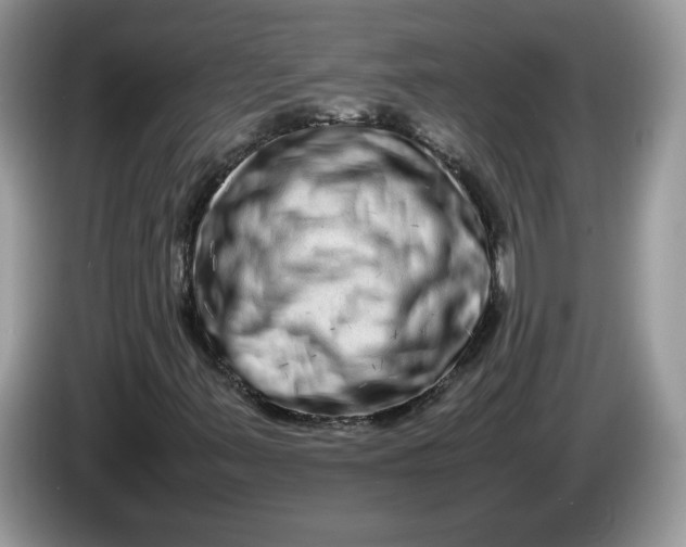 X0000086281347200704122040