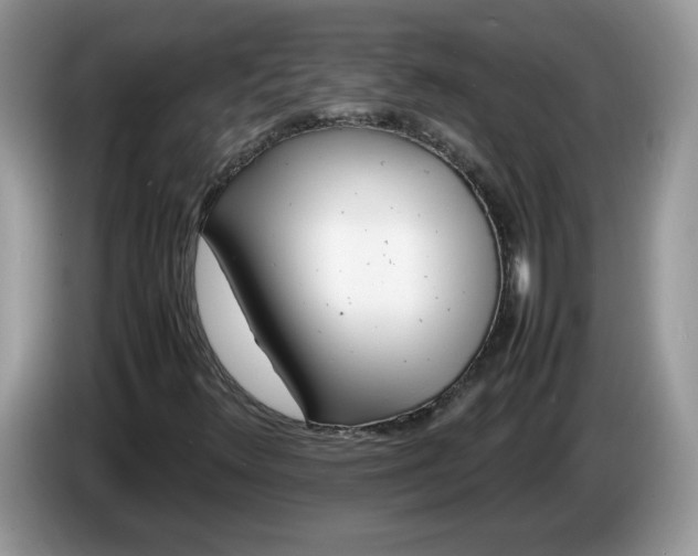 X0000086281348200704122040