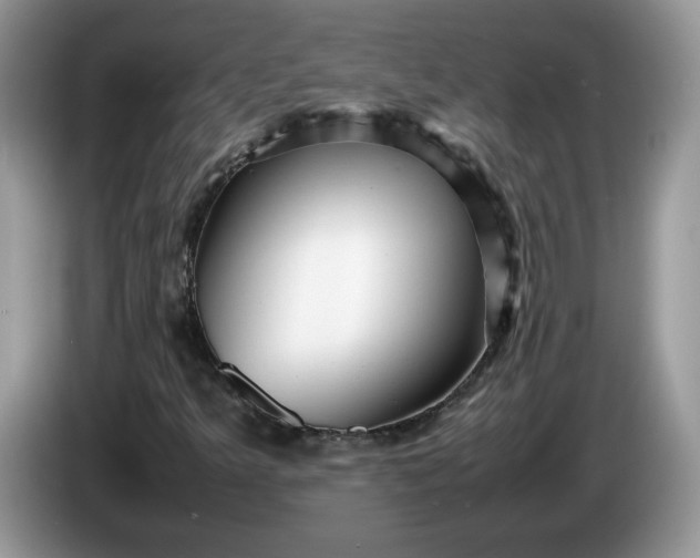 X0000086281349200704122040