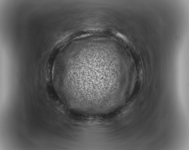 X0000086281350200704122040