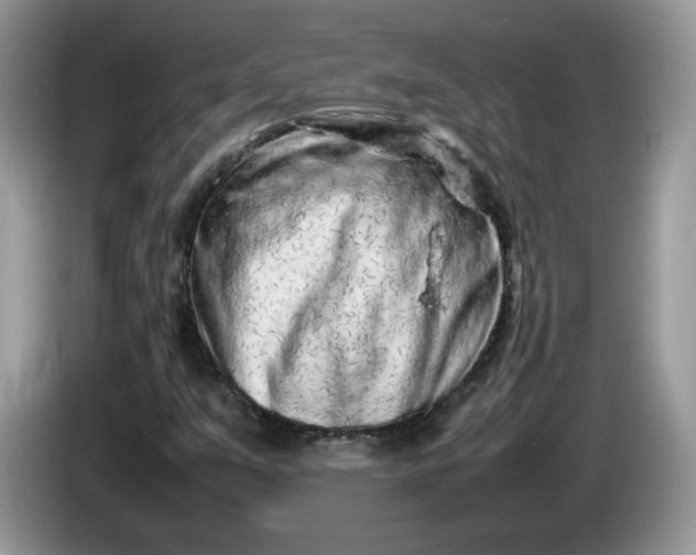 X0000086281351200704122040