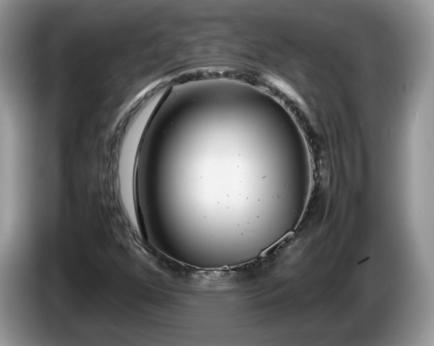 X0000086281352200704122040