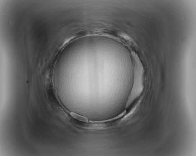 X0000086281353200704122040