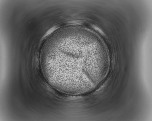 X0000086281354200704122040