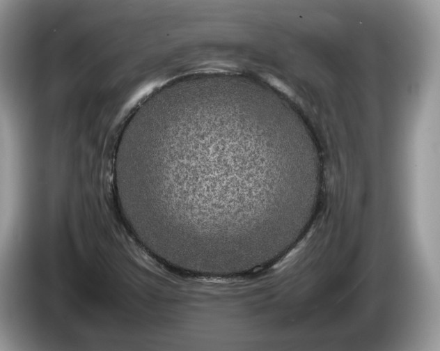 X0000086281355200704122040