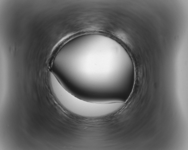 X0000086281356200704122040