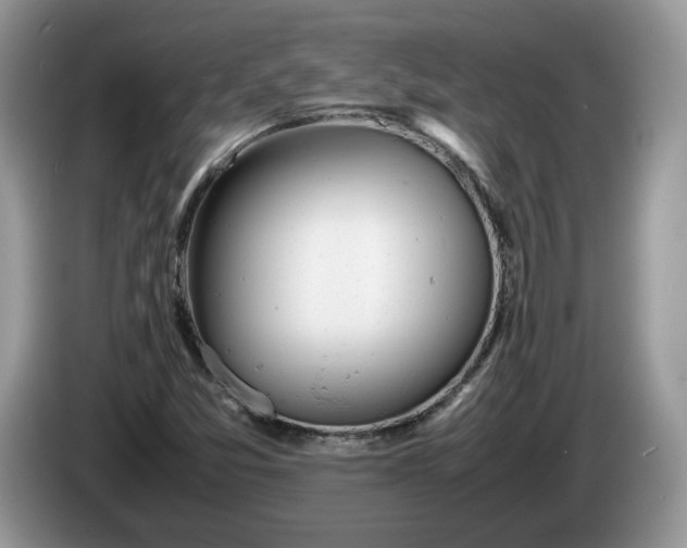 X0000086281357200704122040