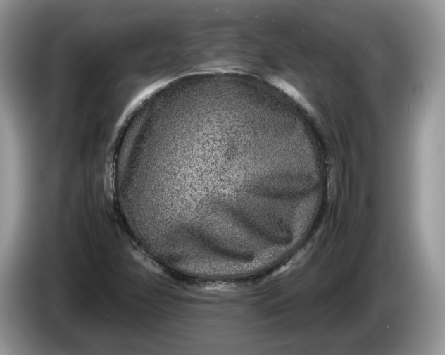 X0000086281358200704122040