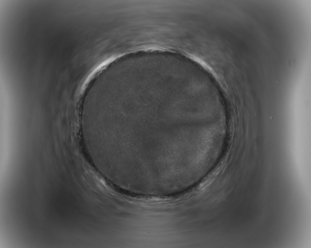 X0000086281359200704122040