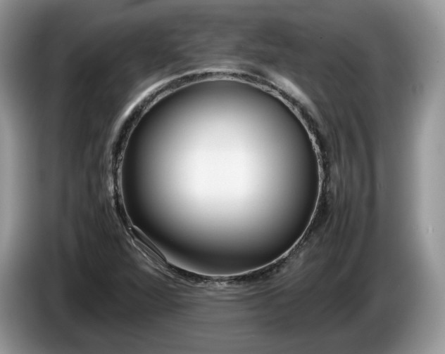 X0000086281360200704122040