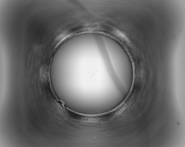 X0000086281361200704122040