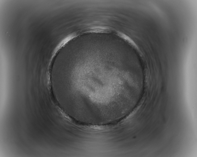 X0000086281362200704122040