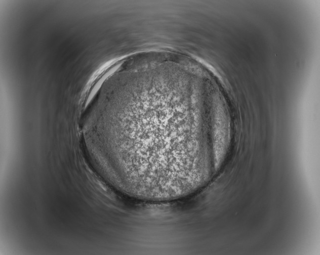 X0000086281363200704122040