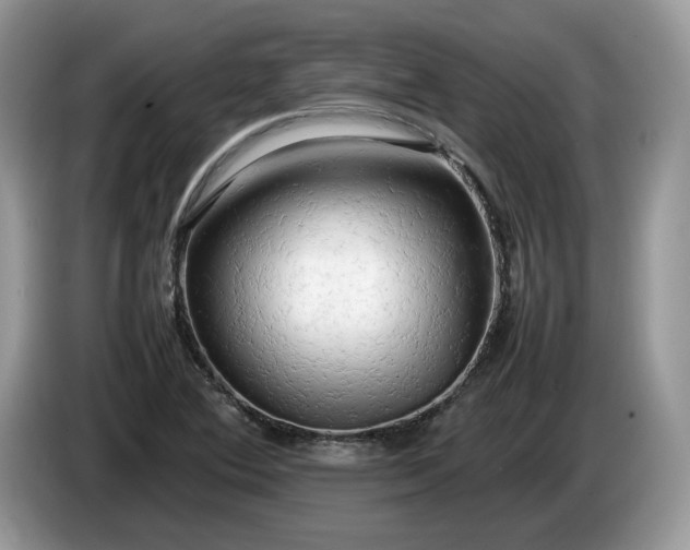 X0000086281364200704122040