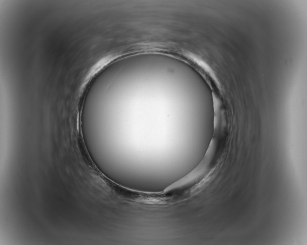 X0000086281365200704122040