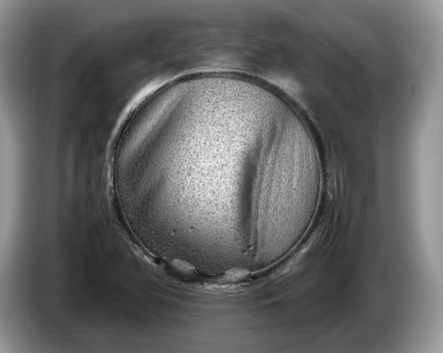 X0000086281366200704122040