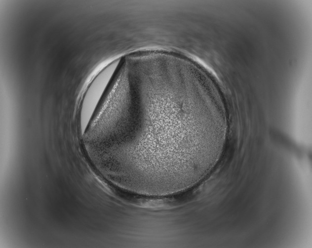 X0000086281367200704122040