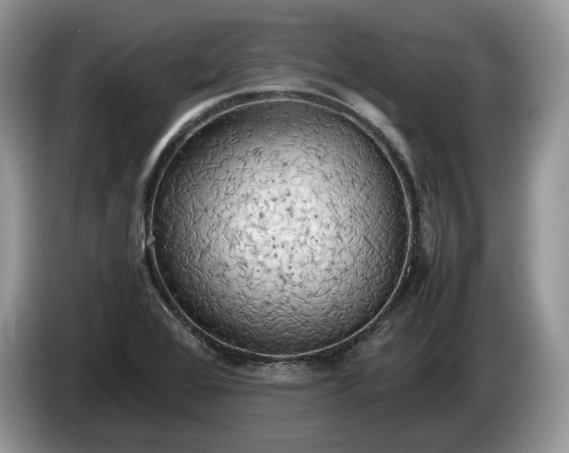 X0000086281368200704122040