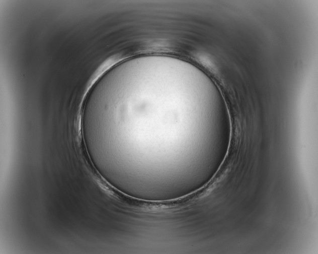 X0000086281370200704122040