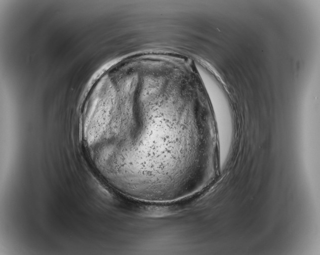 X0000086281371200704122040