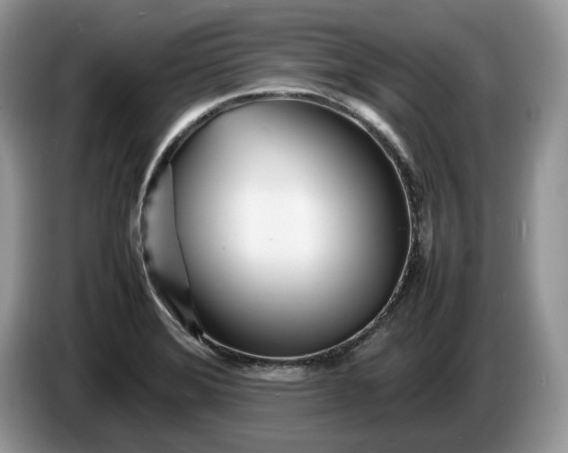 X0000086281372200704122040