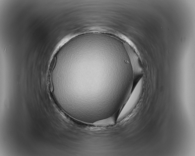 X0000086281373200704122039