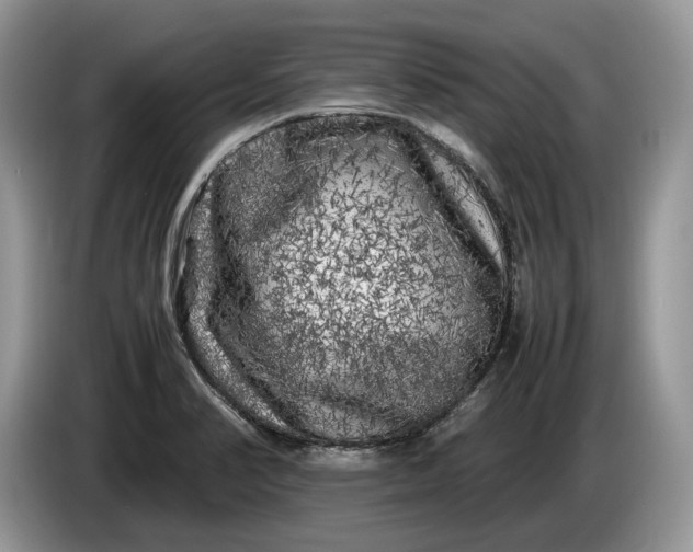 X0000086281374200704122039