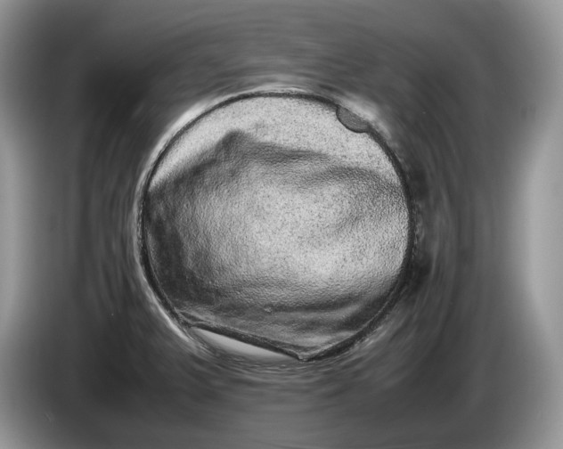 X0000086281375200704122039