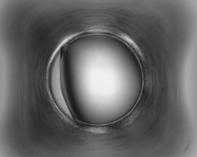 X0000086281376200704122039