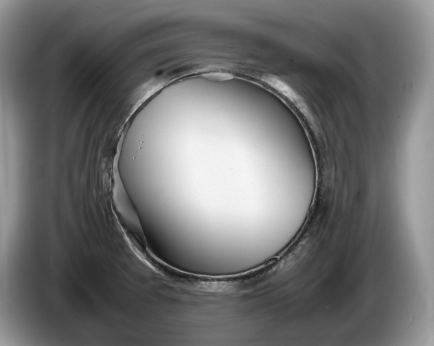 X0000086281377200704122039