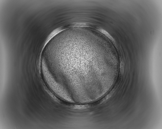 X0000086281378200704122039