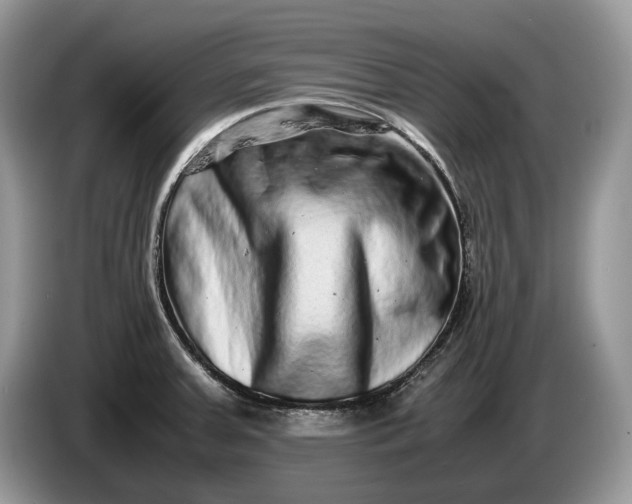 X0000086281379200704122039