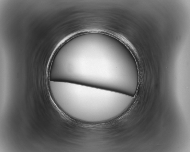 X0000086281380200704122039