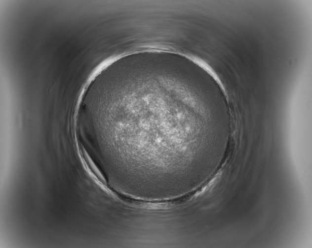 X0000086281381200704122039