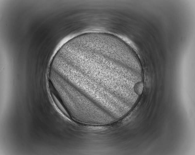 X0000086281382200704122039