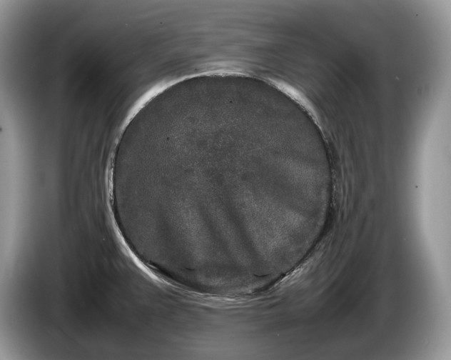 X0000086281383200704122039