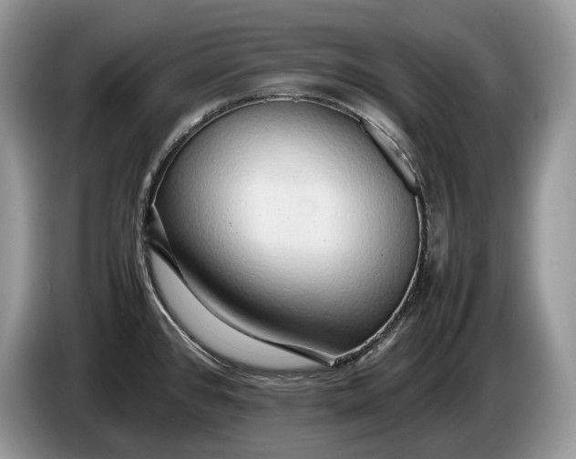 X0000086281384200704122039