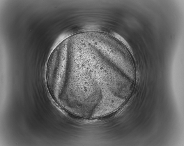 X0000086281386200704122039