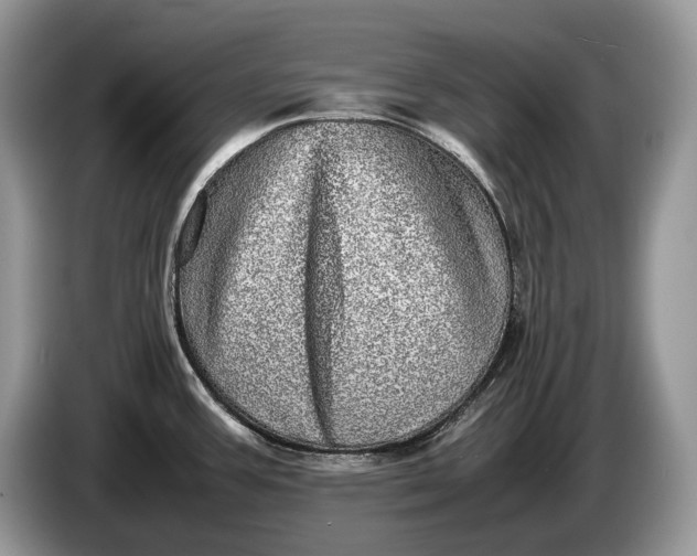 X0000086281387200704122039