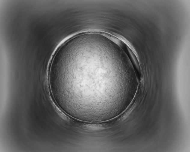 X0000086281388200704122039