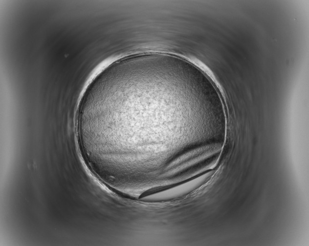 X0000086281389200704122039