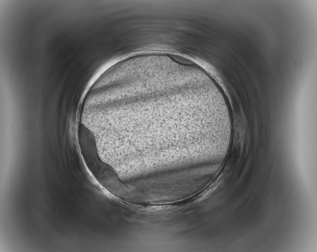 X0000086281390200704122039