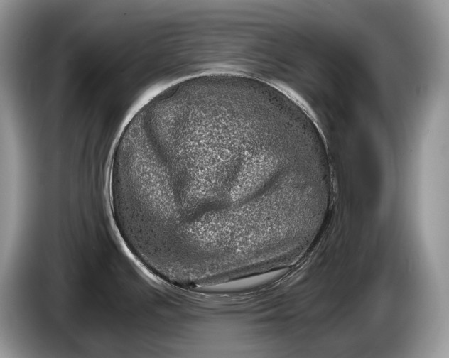 X0000086281391200704122039