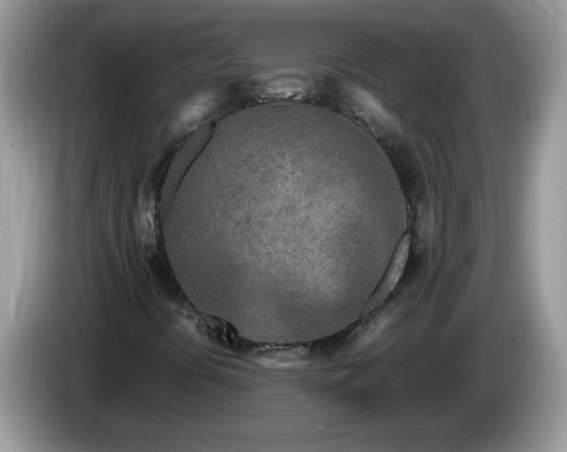 X0000086281394200704122039