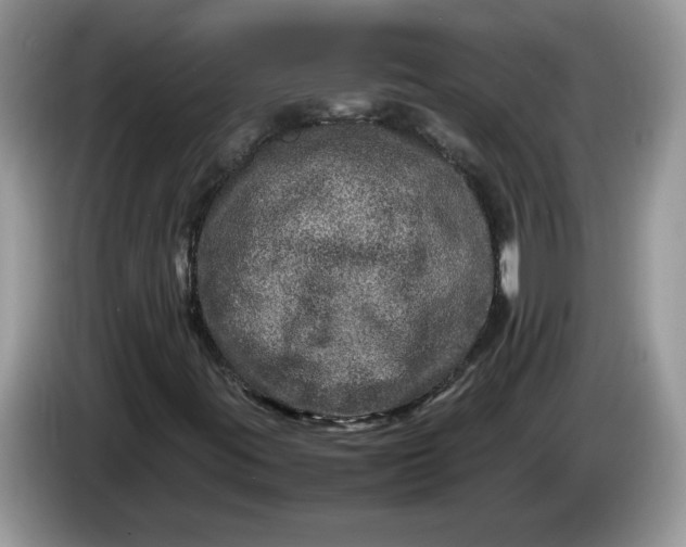 X0000086281395200704122039