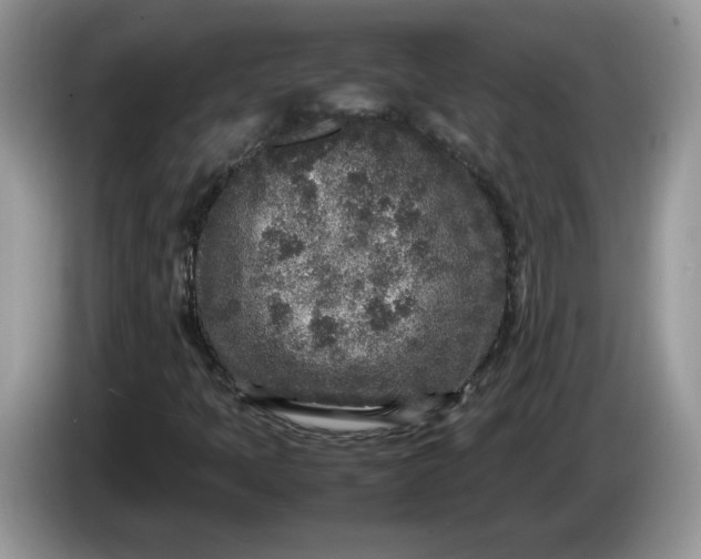 X0000086281397200704122039