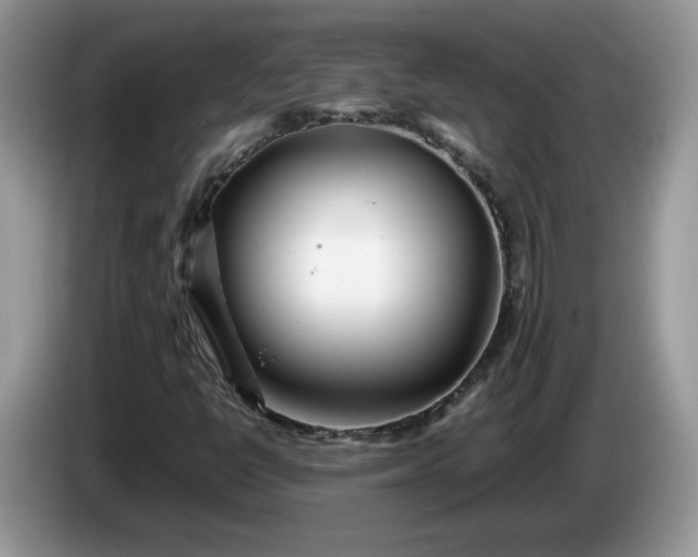 X0000086281398200704122039