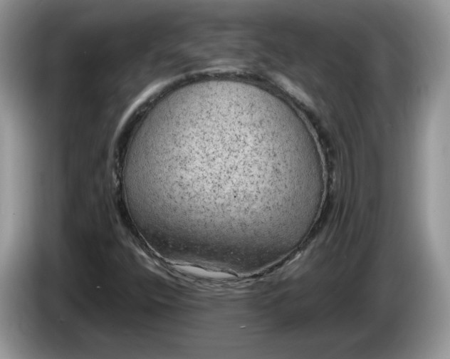 X0000086281400200704122039